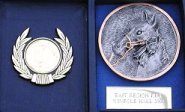 The 2005 Winners Medal